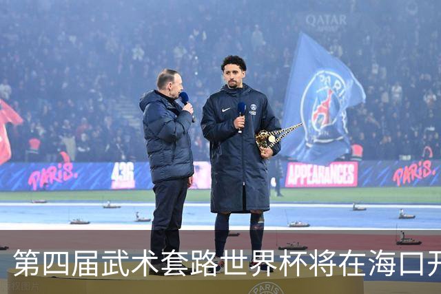 第四届武术套路世界杯将在海口开赛 30多个国家和地区人员参赛